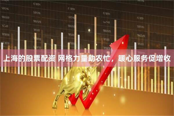 上海的股票配资 网格力量助农忙，暖心服务促增收